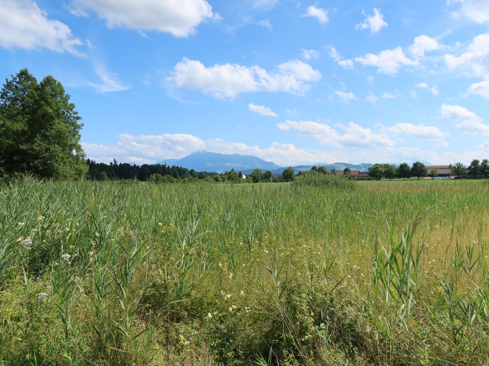 Blick Richtung Rigi