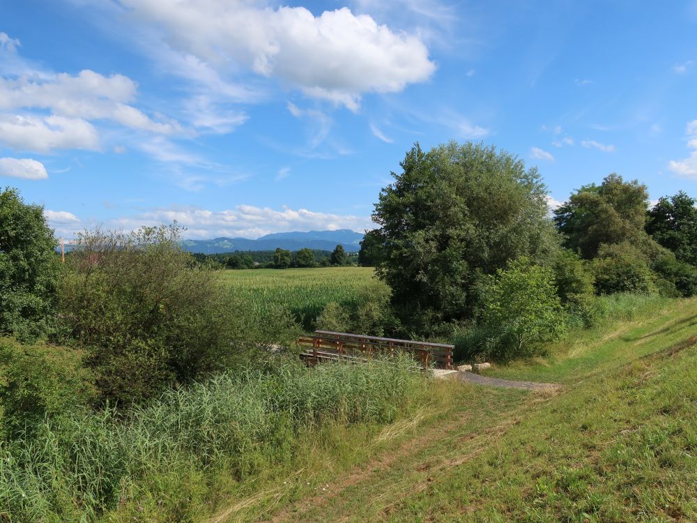 Steg übern Binnenkanal