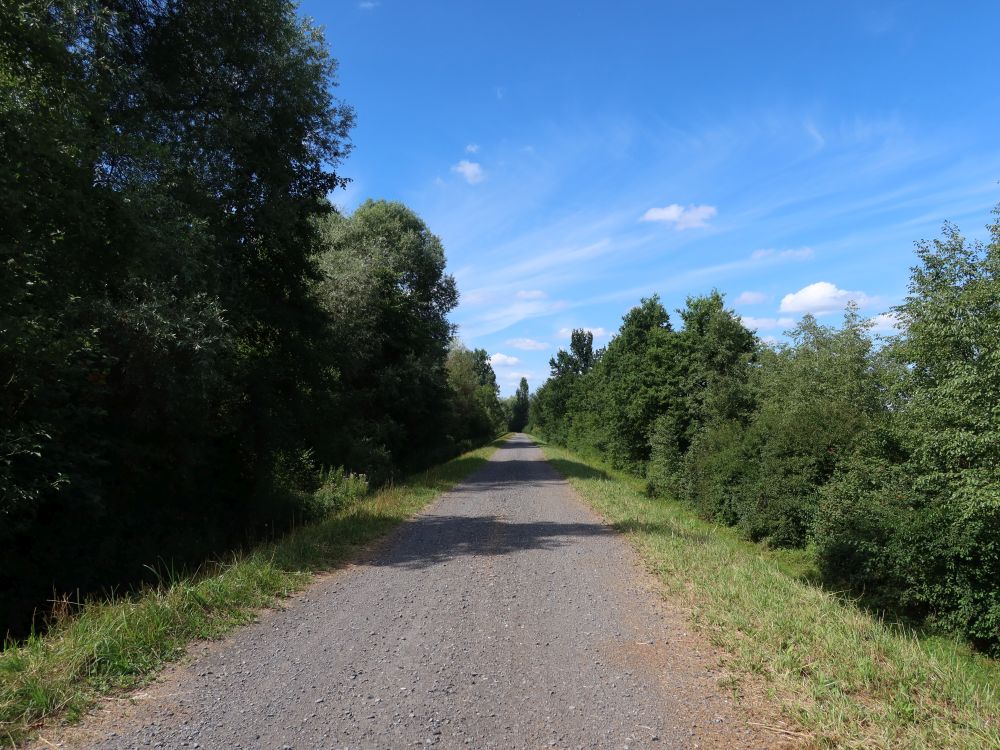 Reussdamm Weg