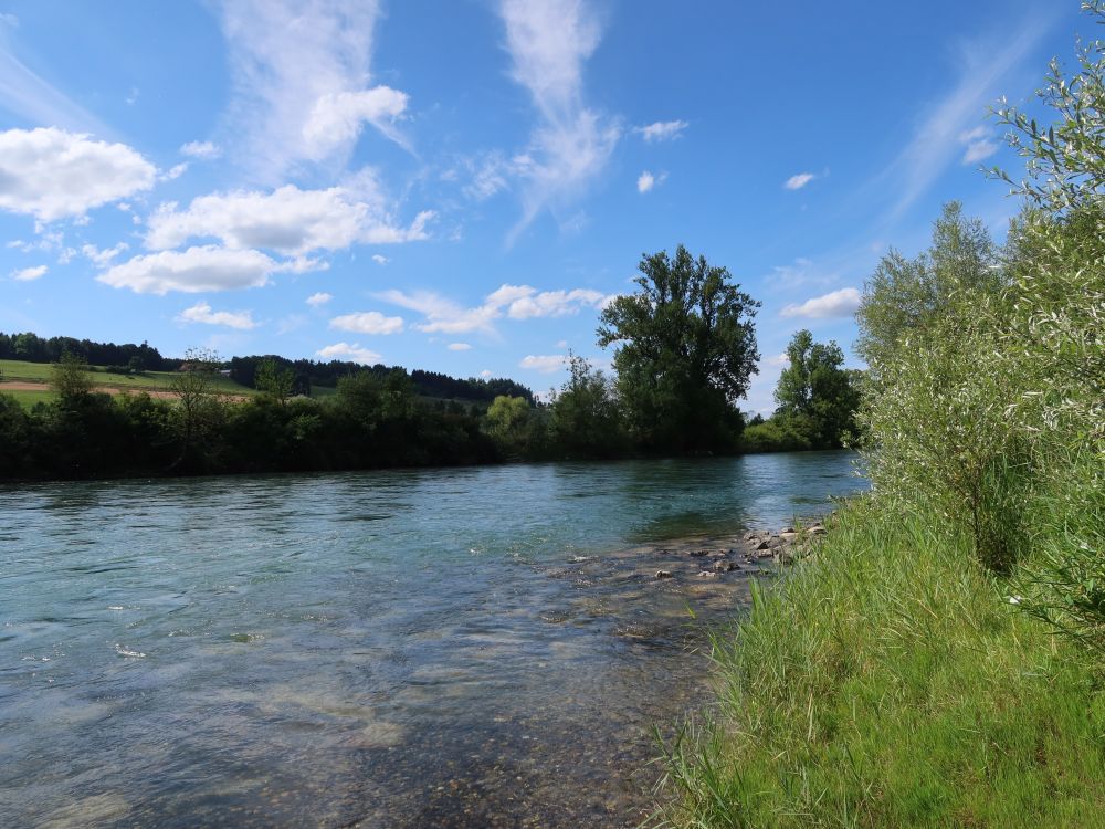 Reuss