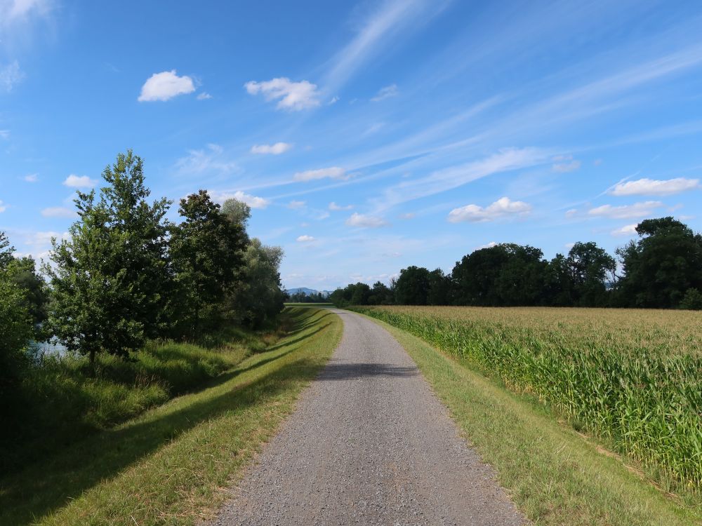 Reussdamm Weg