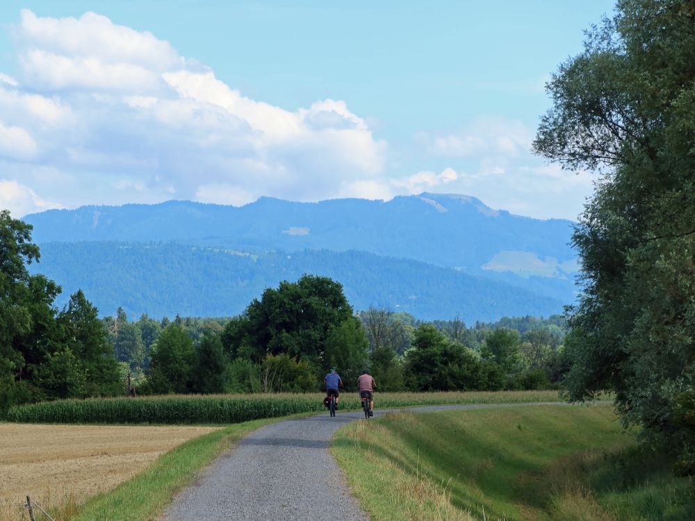 Radfahrer auf dem Reussdamm Weg