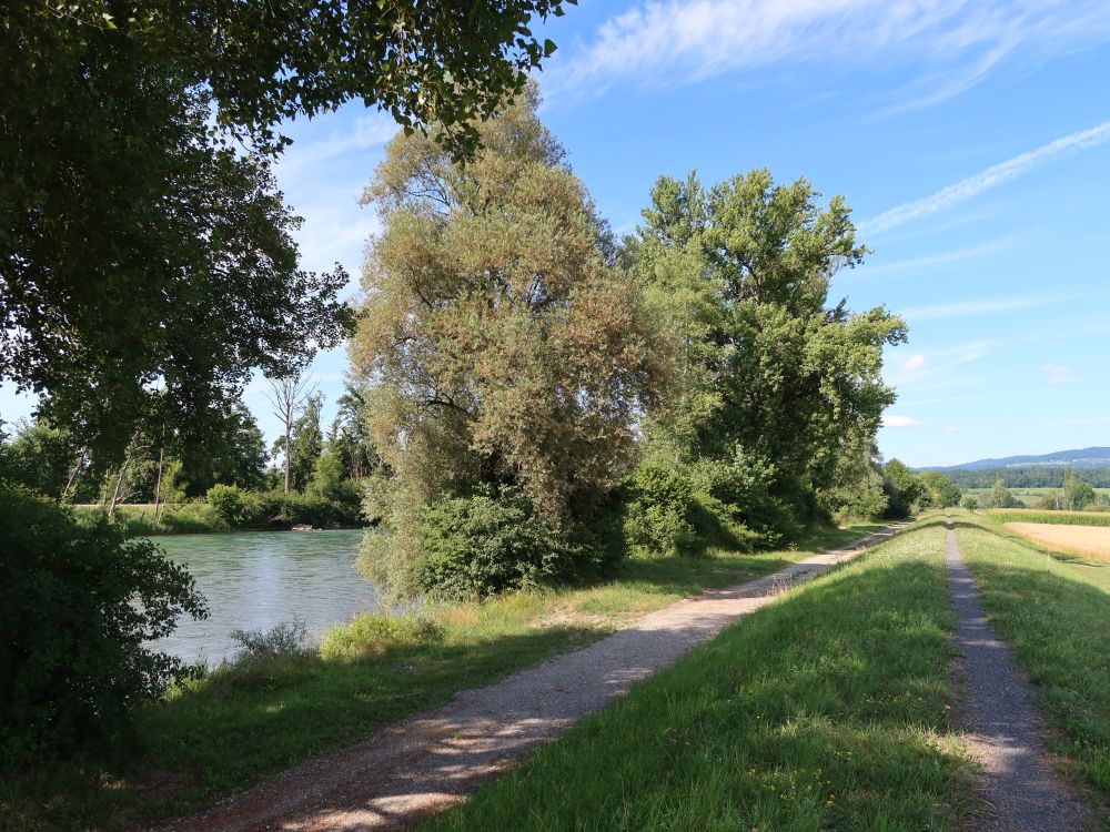 Reussdamm Weg