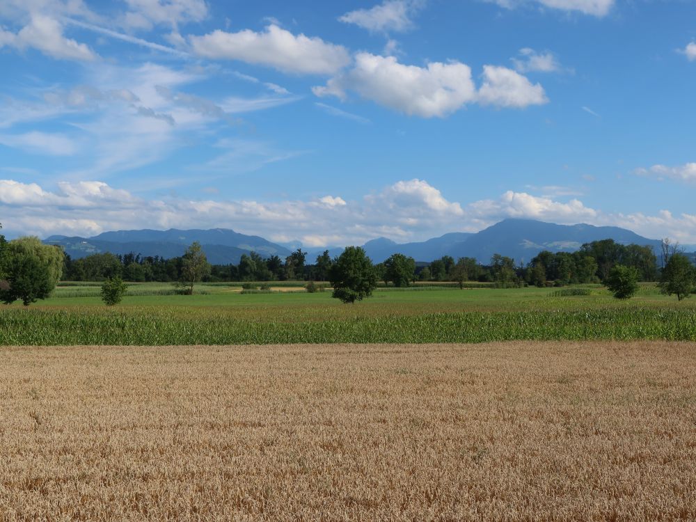 Wildspitz und Rigi