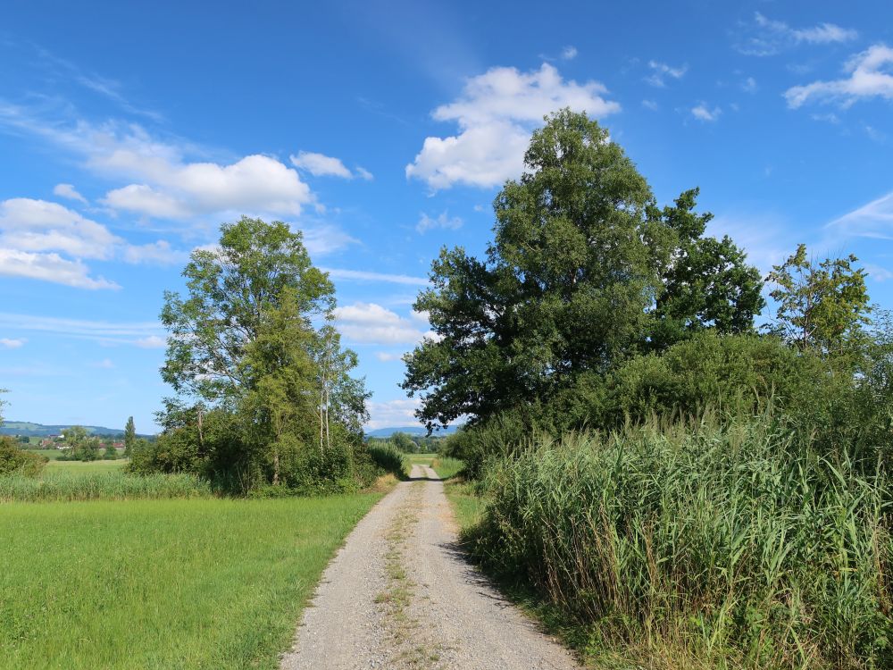 Weg durch Reussspitz