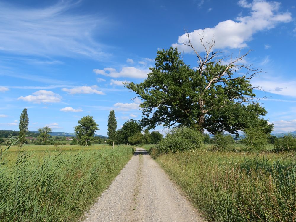 Weg durch Reussspitz