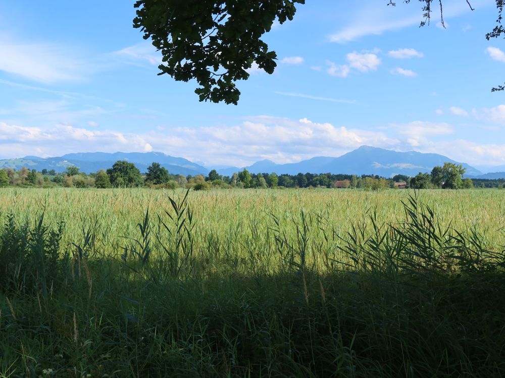 Wildspitz und Rigi