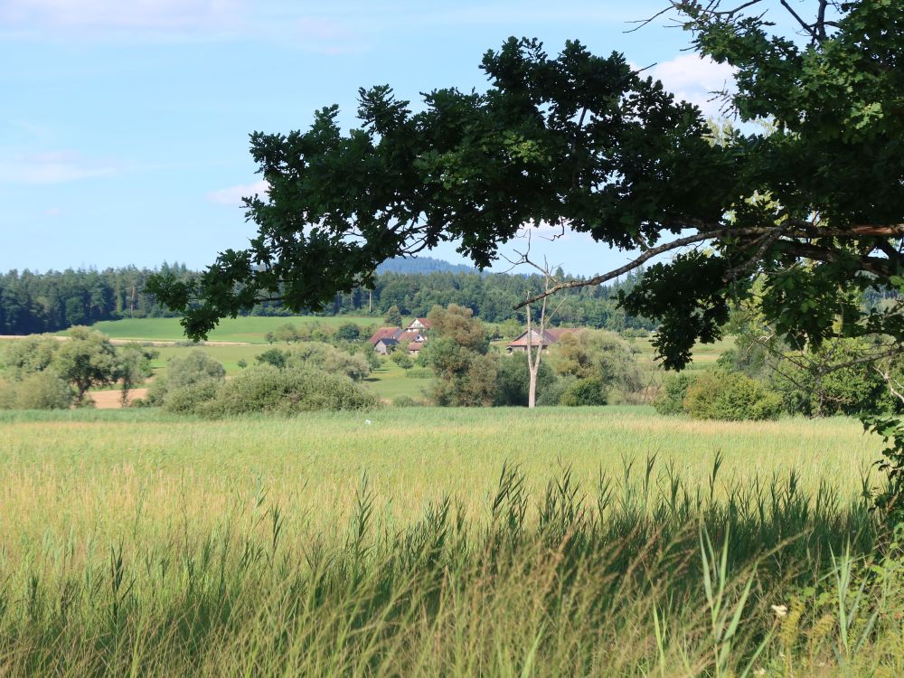 Blick Richtung Hinterfeld
