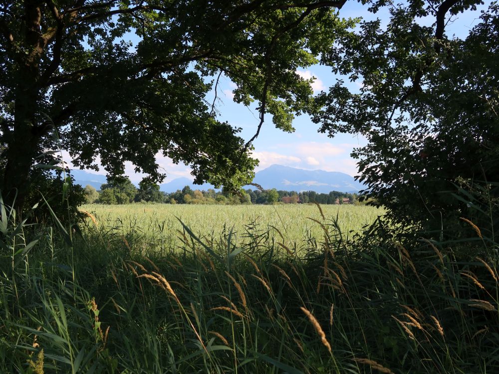 Blick Richtung Rigi