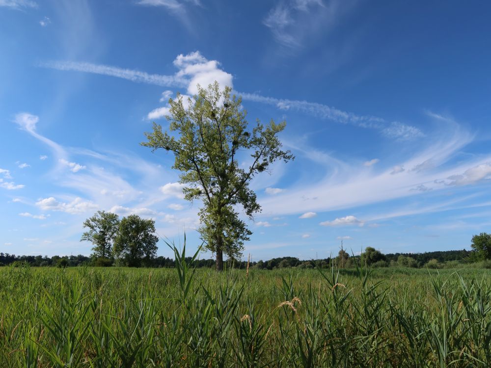 Wolkenbild