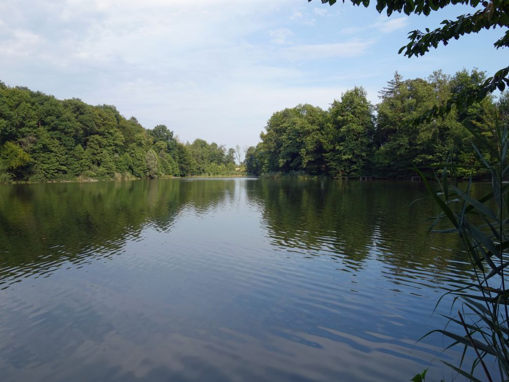 Neuweiher