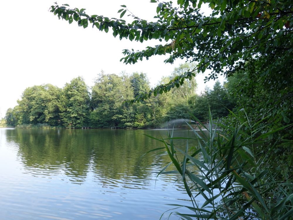 Neuweiher