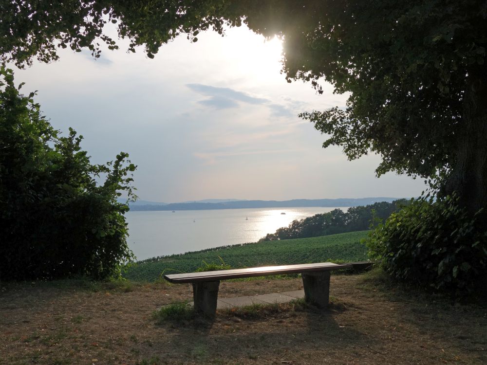 Blick vom Höhenweg Meersburg