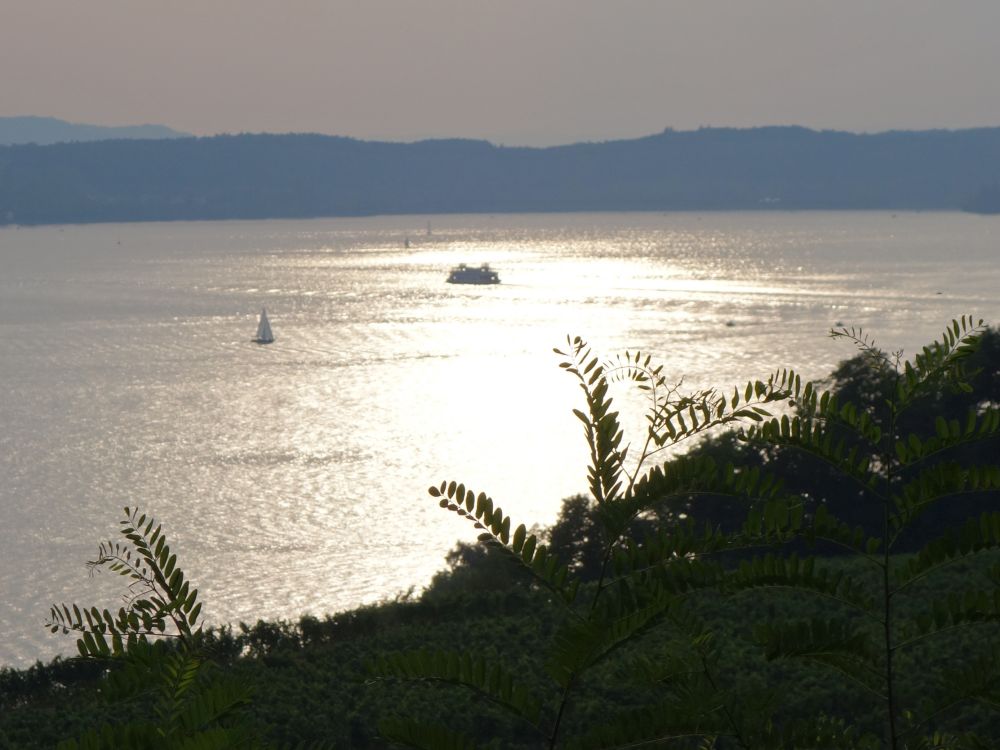 glitzernder Bodensee