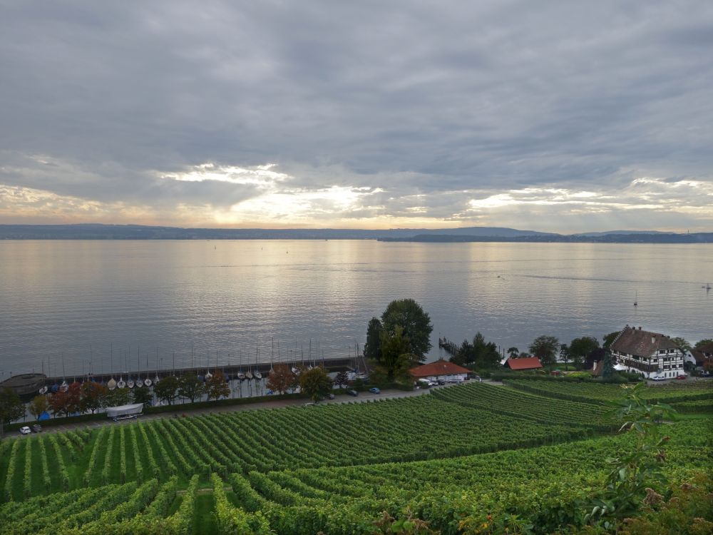 Haltnau am Bodensee