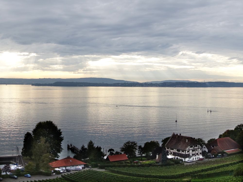 Haltnau am Bodensee