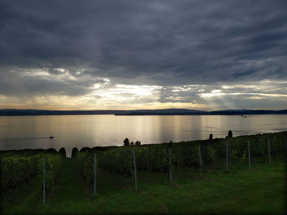 Abendstimmung am Bodensee