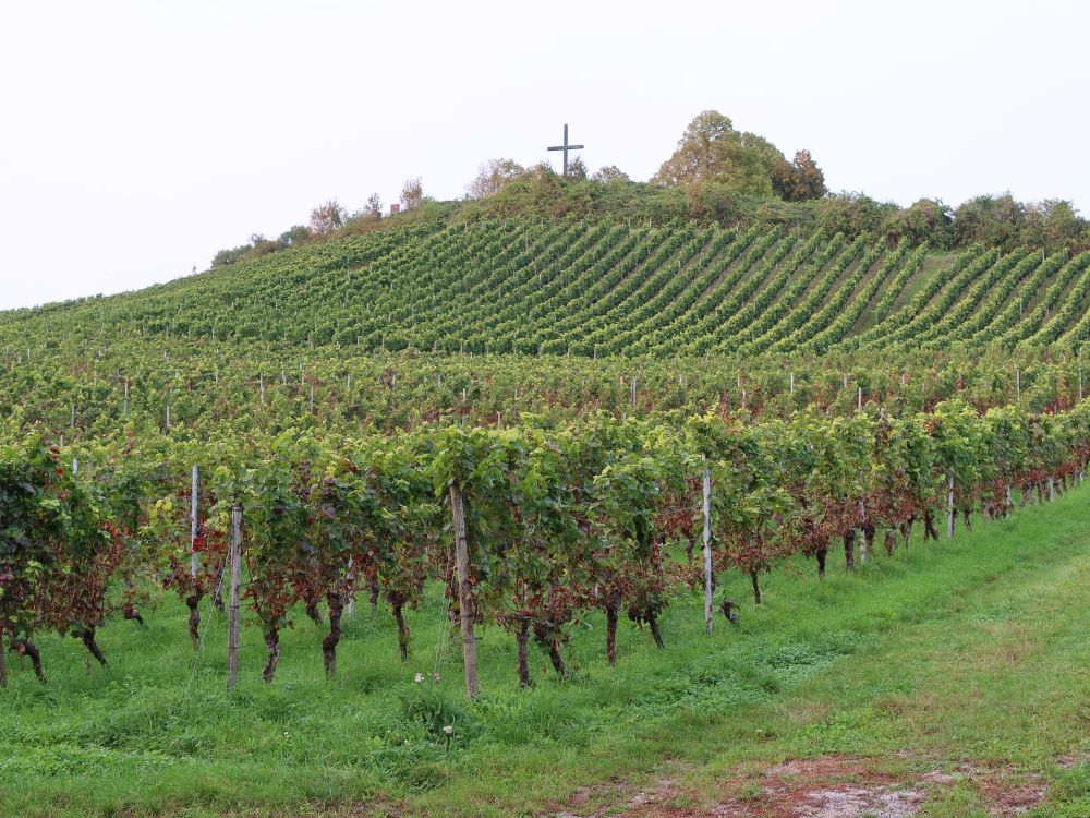 Kreuz am Lerchenberg