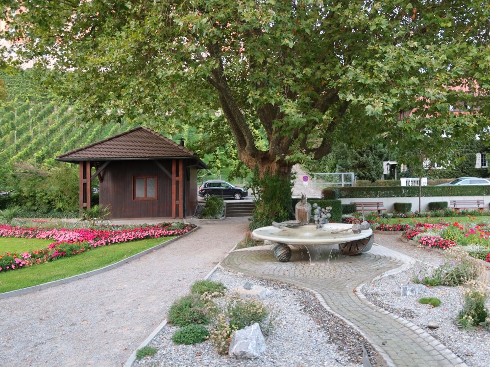 Uferpromenade Meersburg