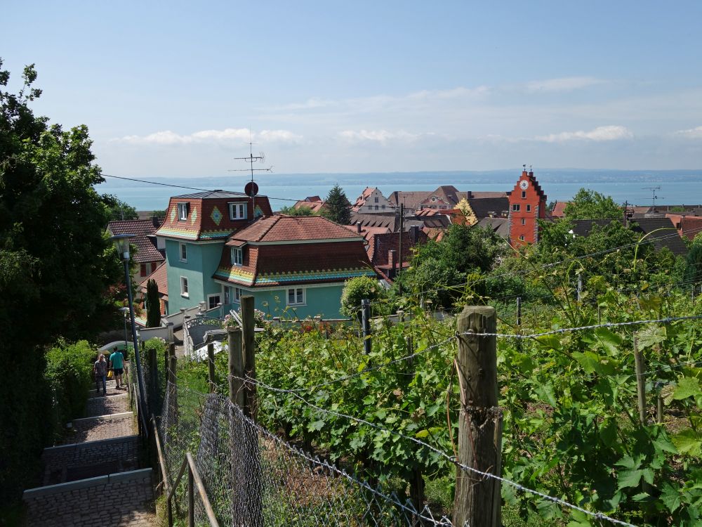 Blick über Meersburg