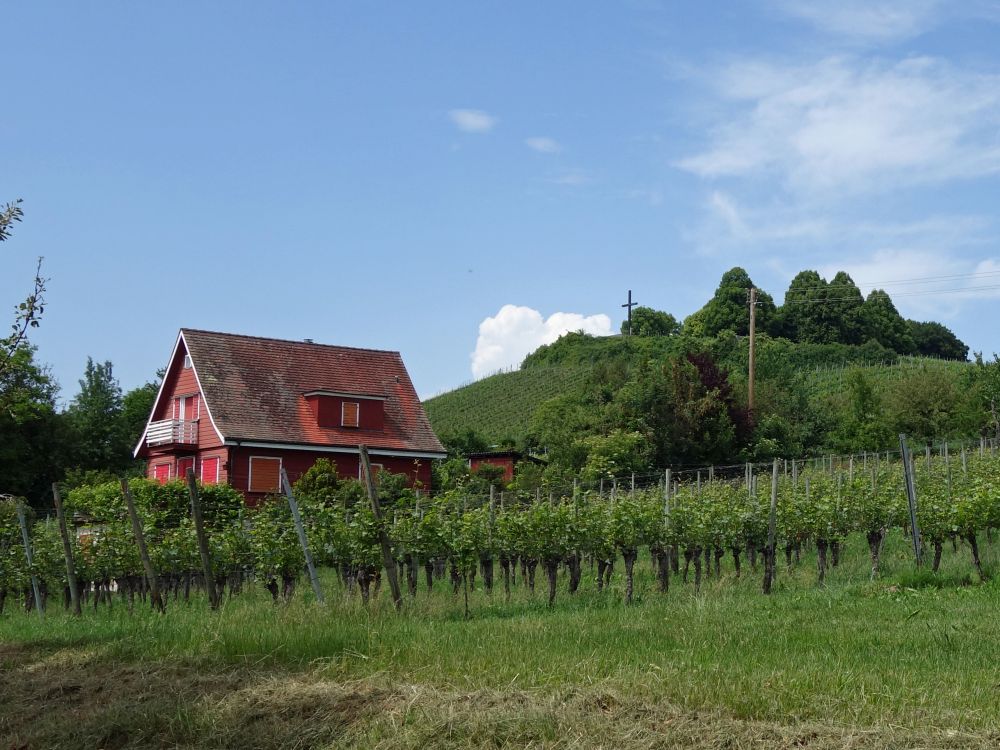 Blick zur Ehrenstätte