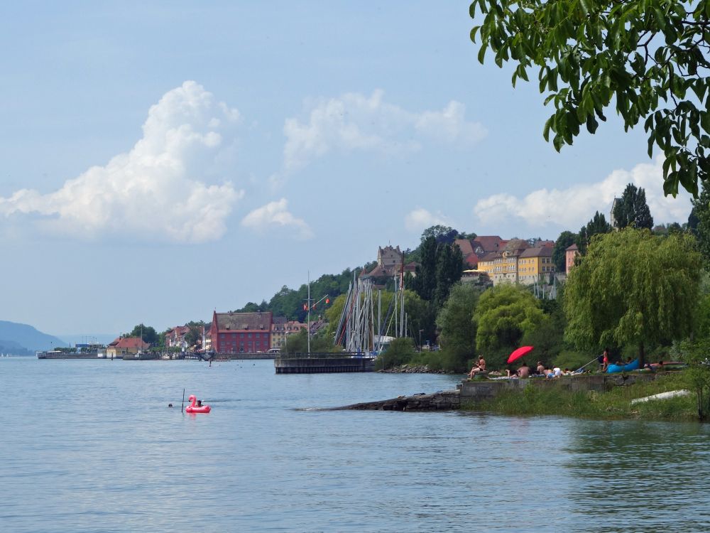 Blick auf Meersburg