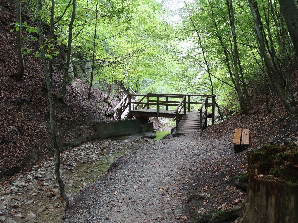 Steg im Gehautobel