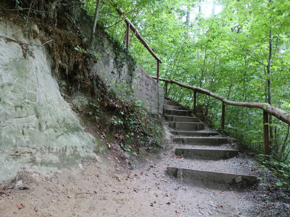 Steg im Gehautobel