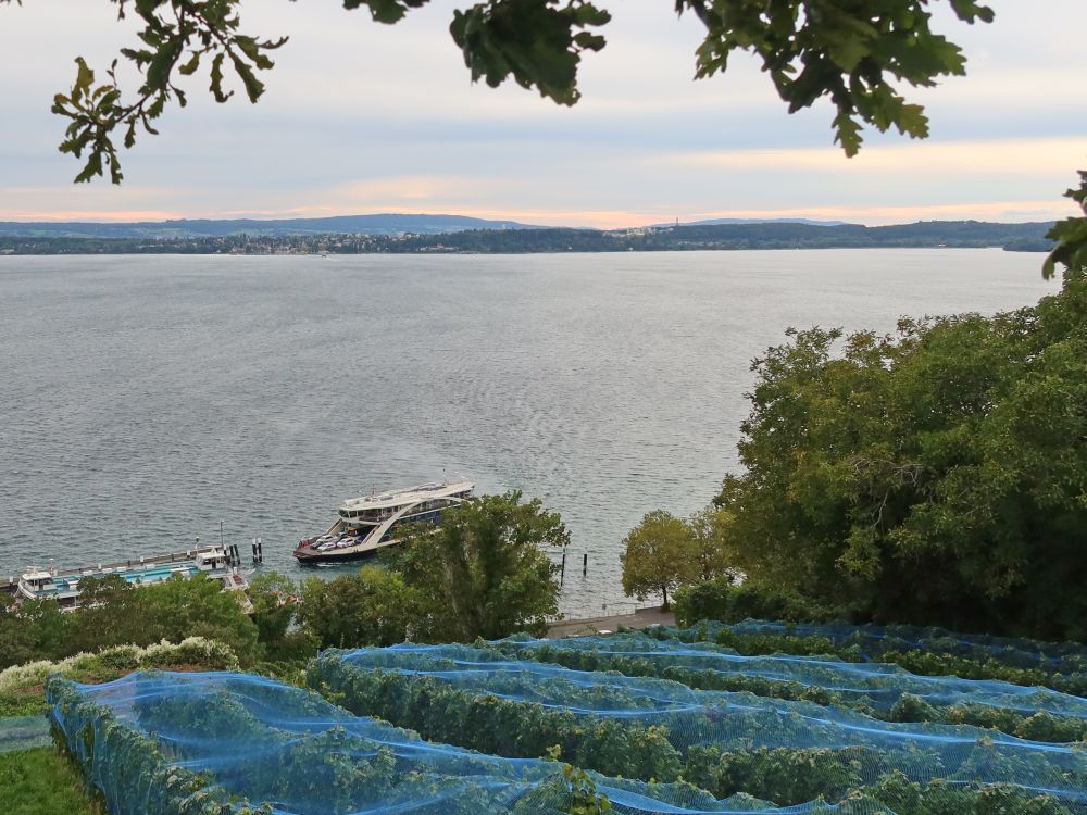 Bodensee mit Autofähre