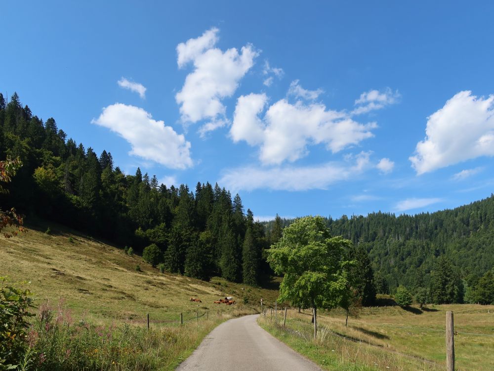 Wirtschaftsweg