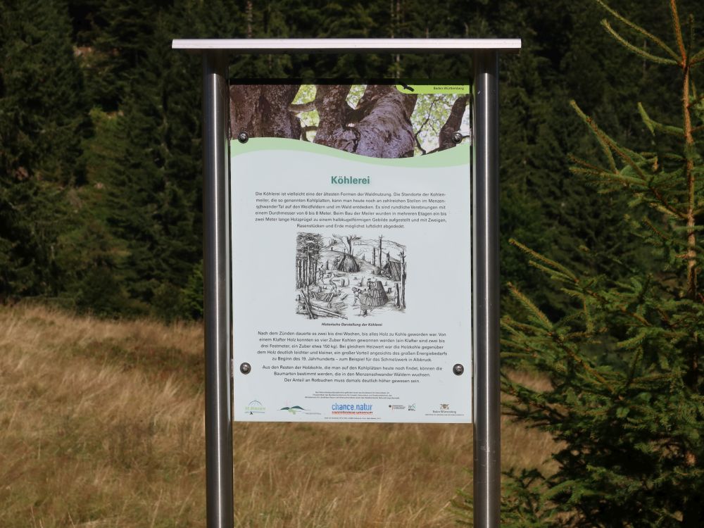 Infotafel zur Köhlerei