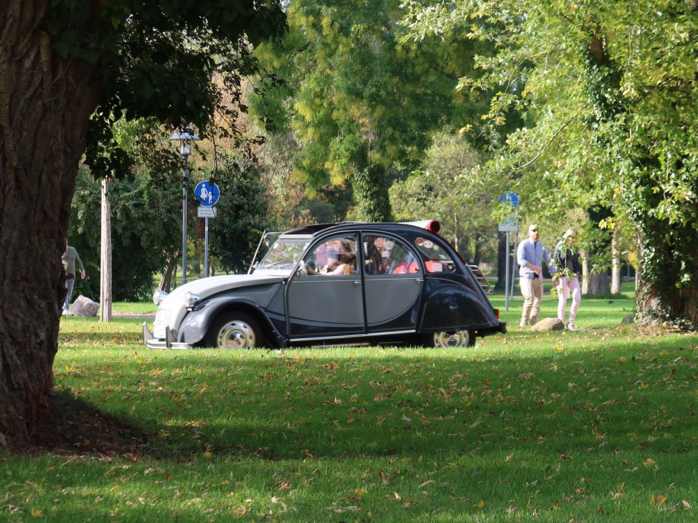 alte Ente 2CV