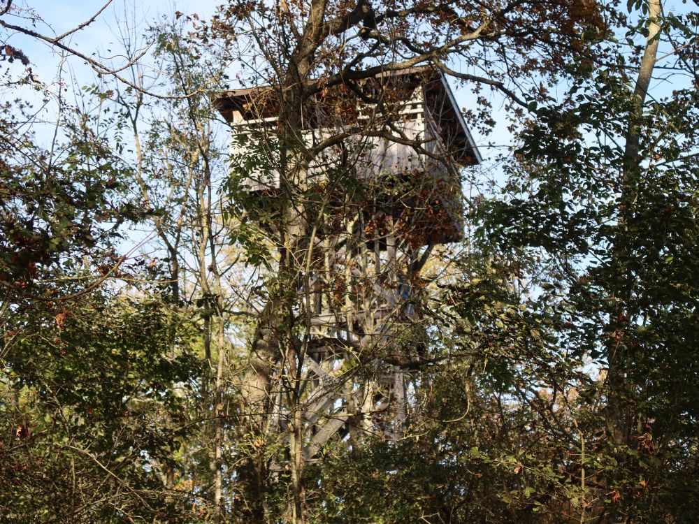 Mettnau-Turm