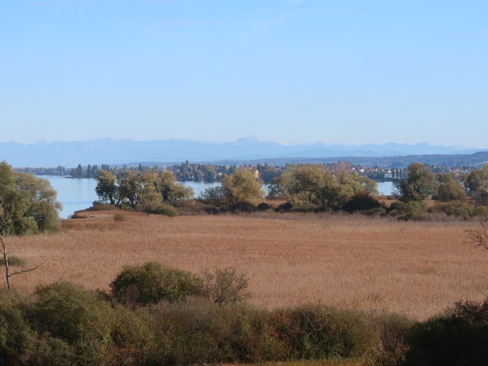 Blick Richtung Reichenau