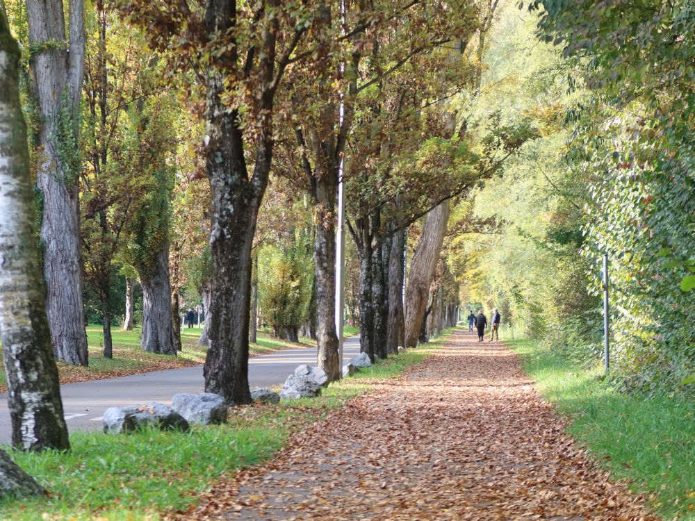 Fussweg an der Standbadstrasse