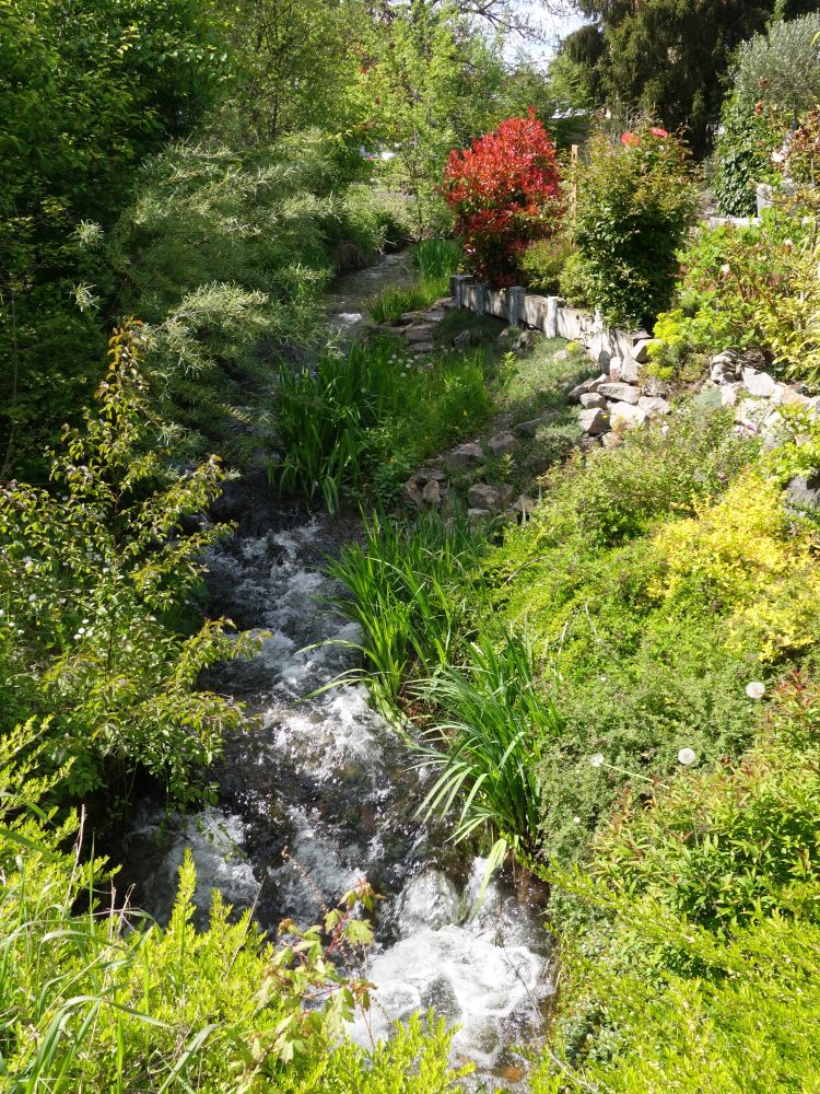 Mühlenbach