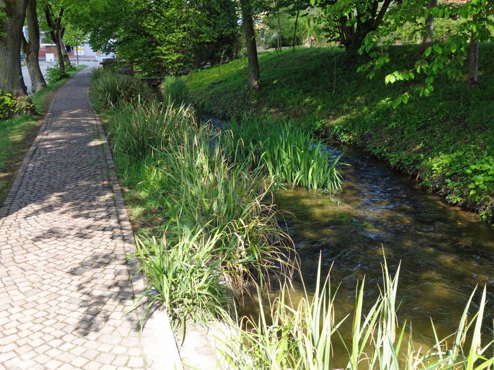 Mühlenbach