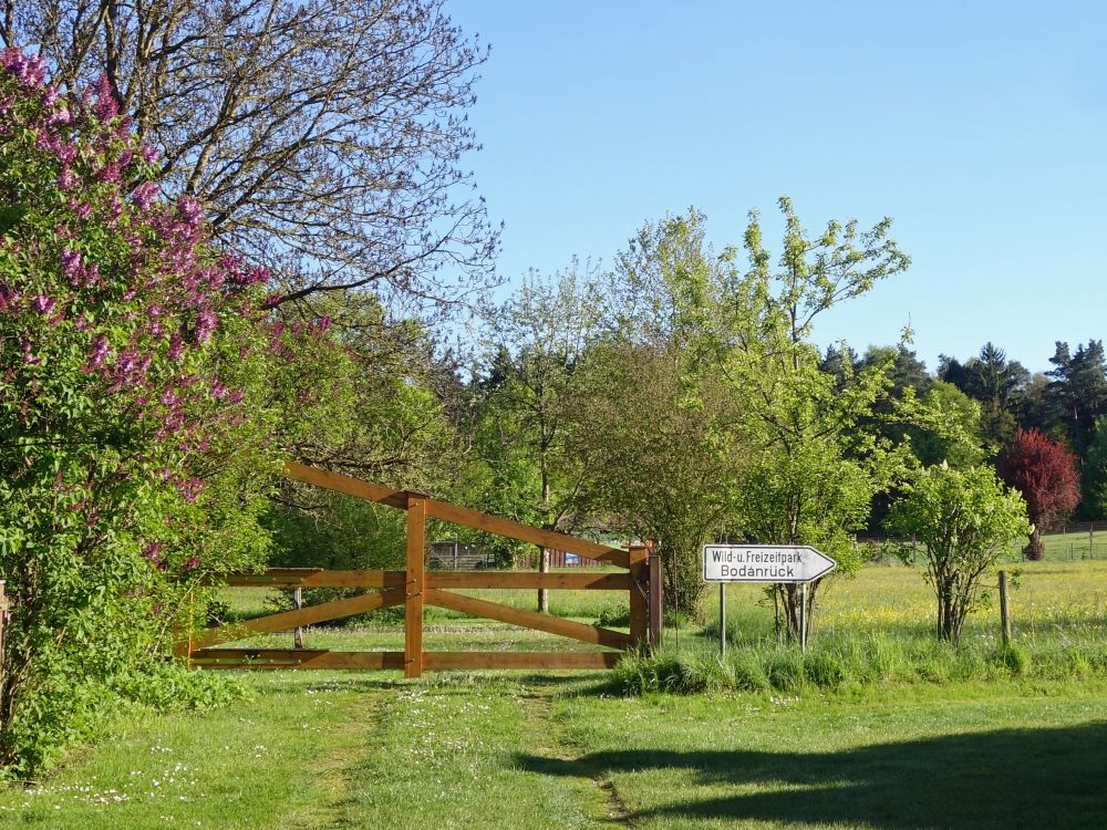 Wiesenpfad am Wildpark