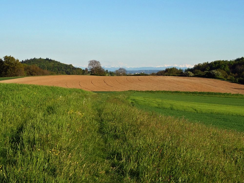 Ebnet bei Allensbach