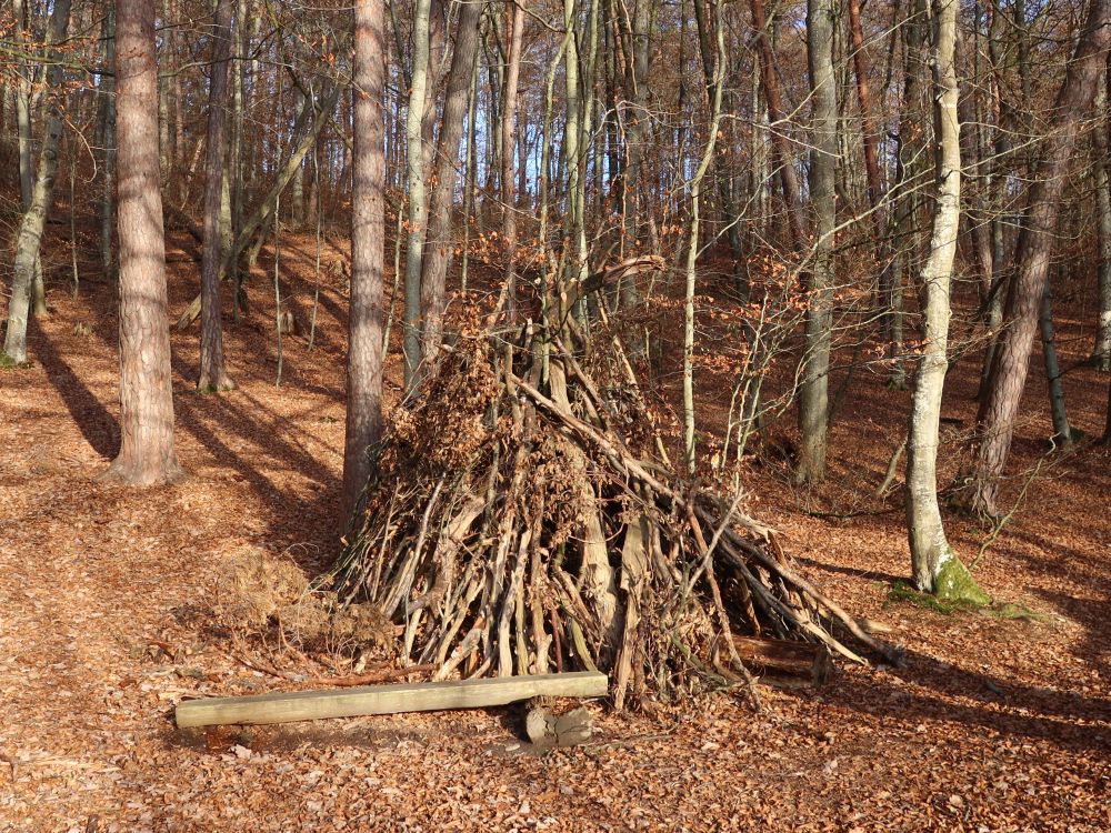 Holzstapel