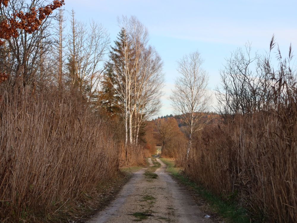 Wirtschaftsweg