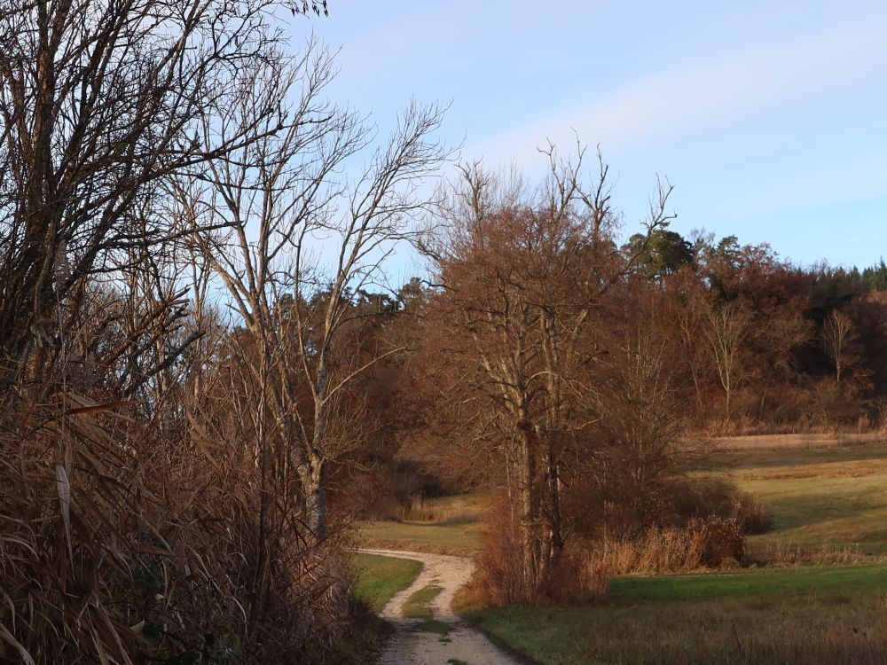 Wirtschaftsweg