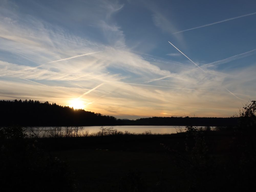 Abendsonne am Mindelsee