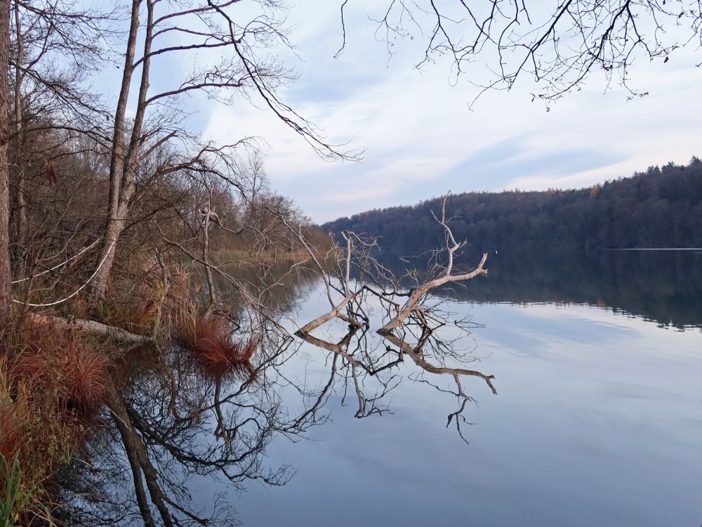 Spiegelung im Mindelsee