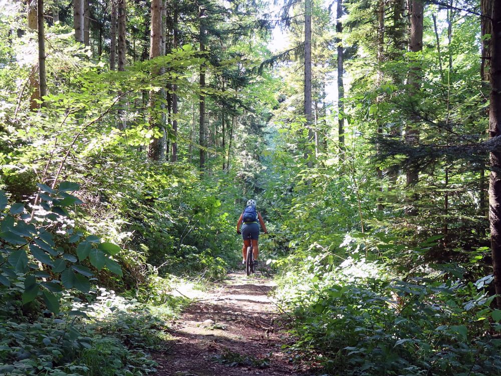 Biker auf dem Ruinenweg