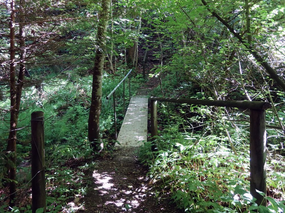 Holzsteg übern Rootbach