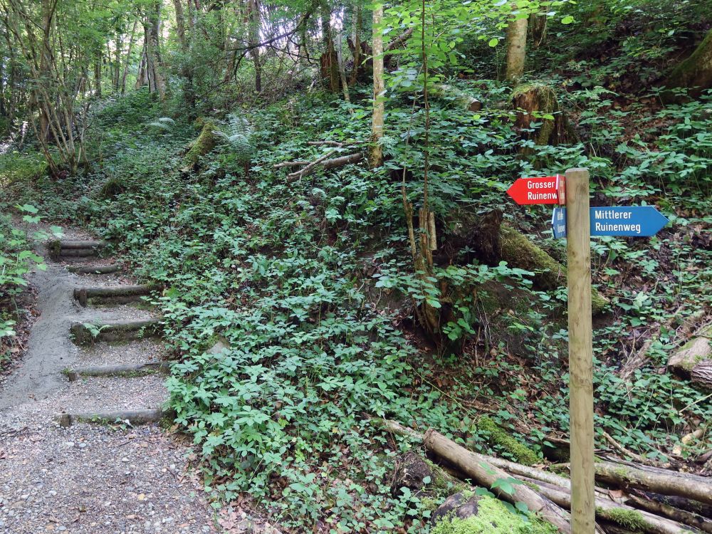 Treppe im Stapfetöbeli