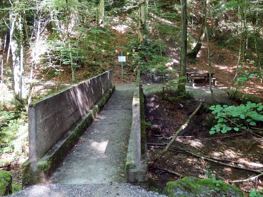 Brücke im Stapfetöbeli