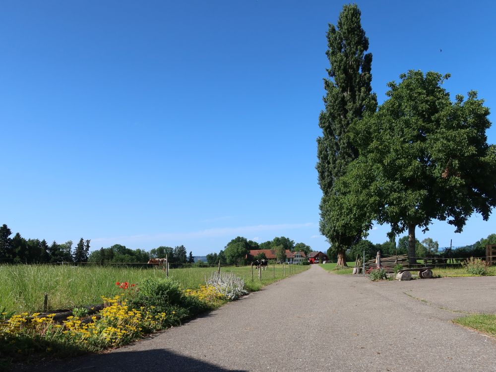 Strasse nach Unter Heuberg