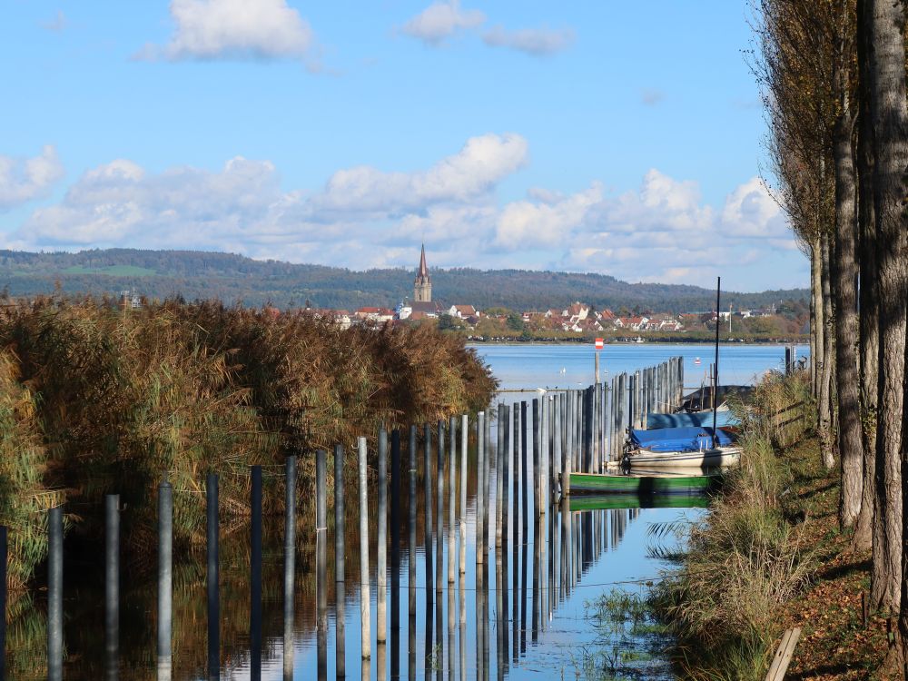 Alter Hafen und Radolfzell